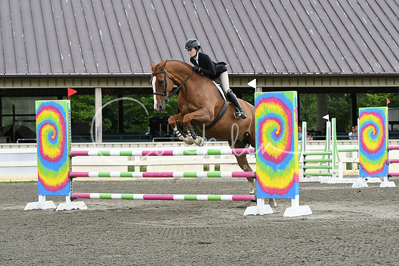 HSM_4163