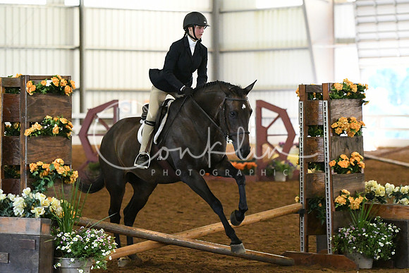 HSM_8290
