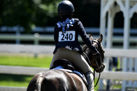 HSM_1581