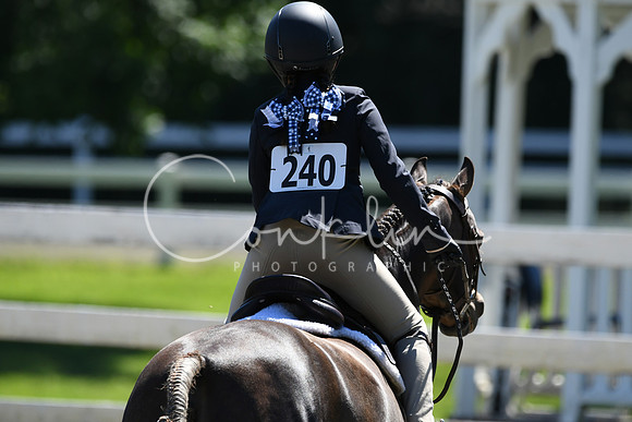HSM_1581