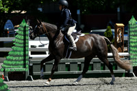 HSM_1584