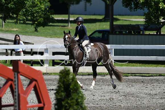 HSM_1589