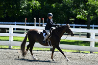 HSM_1593