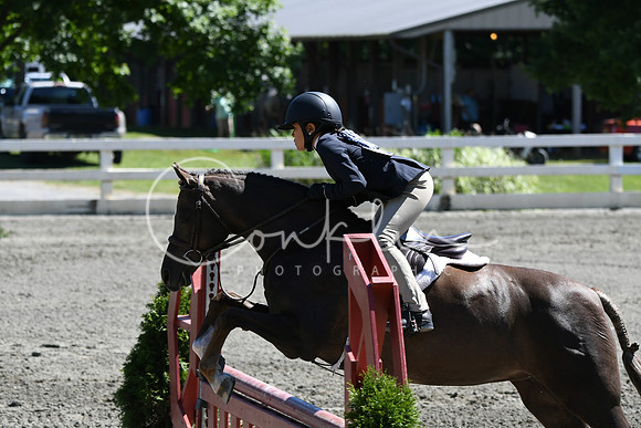 HSM_1595