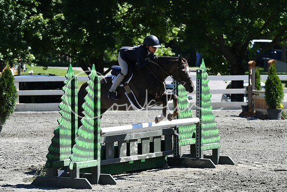 HSM_1598