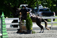 HSM_1599