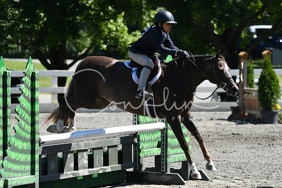 HSM_1646