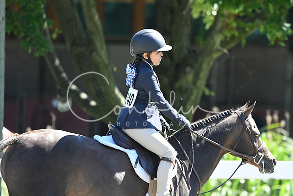 HSM_1699