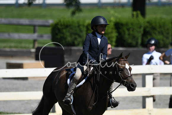 HSM_1701