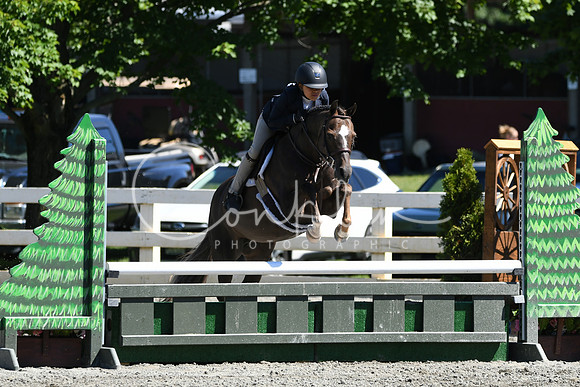 HSM_1706