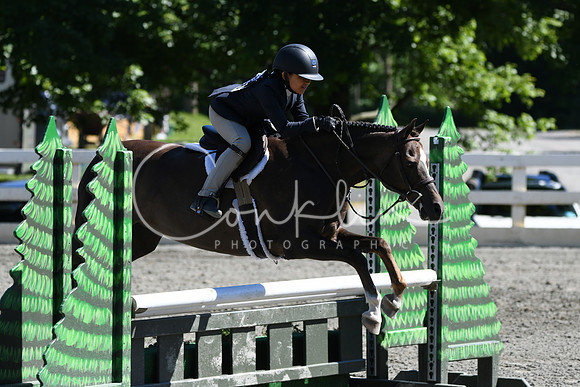 HSM_1708