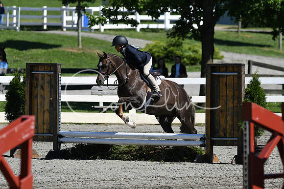 HSM_1723