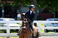 HSM_1213