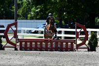 HSM_1214