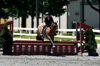 HSM_1217