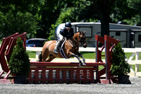 HSM_1223