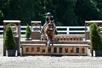 HSM_1227