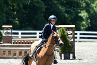HSM_1228