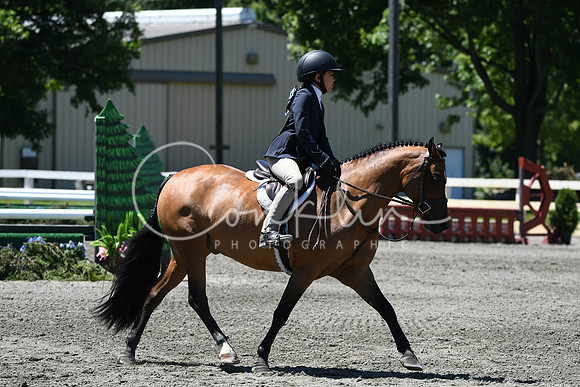 HSM_1263