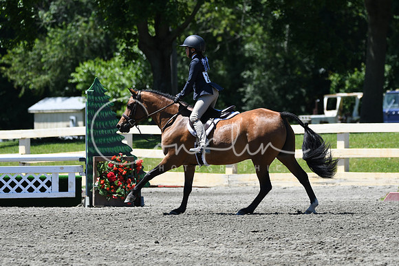 HSM_1291