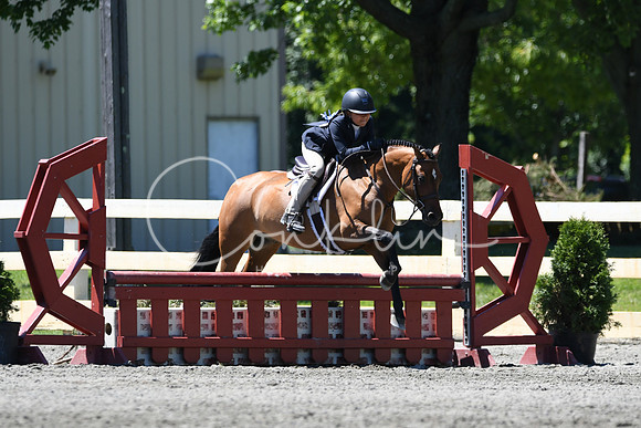 HSM_1294