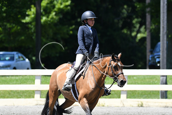 HSM_1308