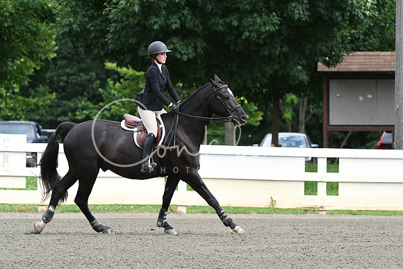 HSM_4133