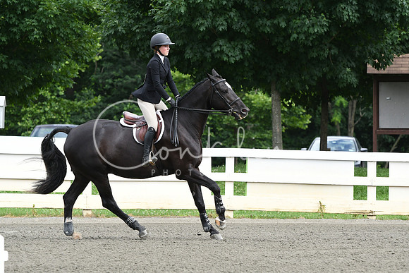 HSM_4132