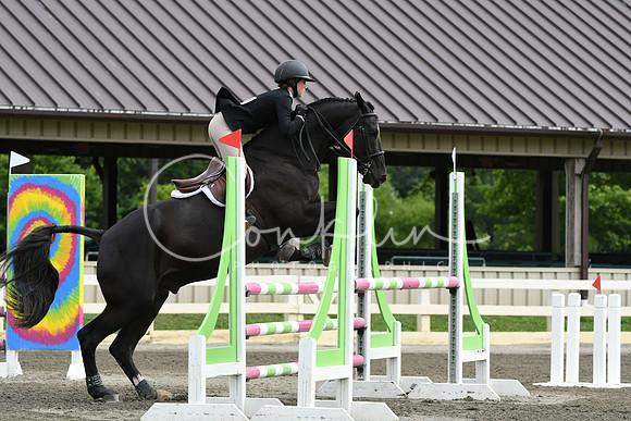 HSM_4134