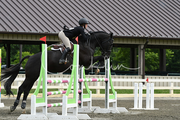 HSM_4135