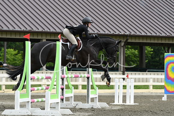 HSM_4136