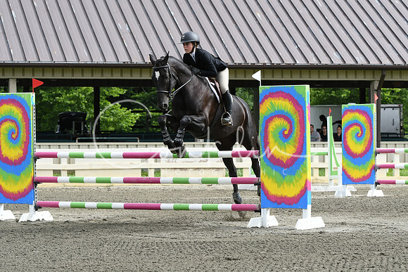 HSM_4139