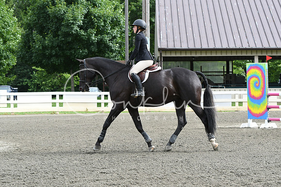 HSM_4146