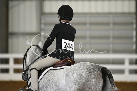 HSM_6381