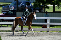 HSM_1348