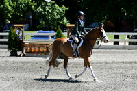 HSM_1350