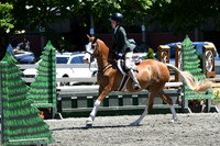 HSM_1356