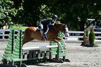 HSM_1363