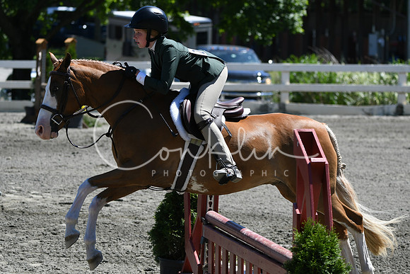 HSM_1369