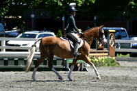 HSM_1405