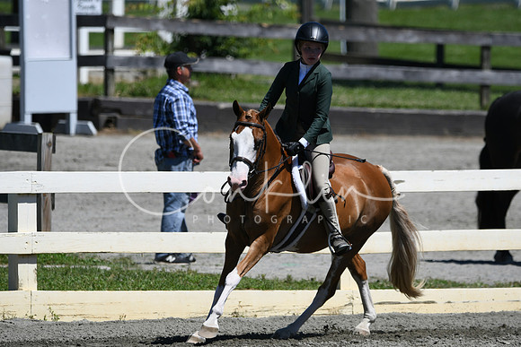 HSM_1408