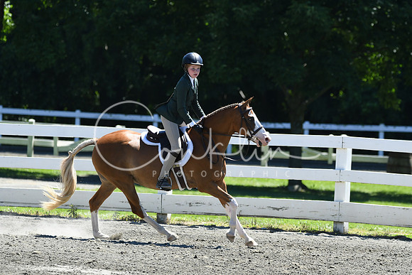 HSM_1410