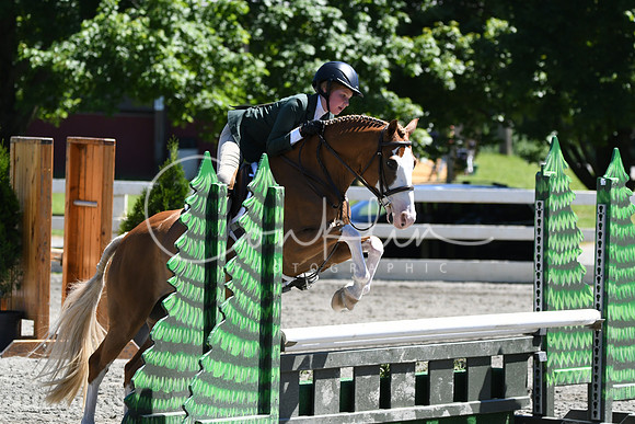 HSM_1418