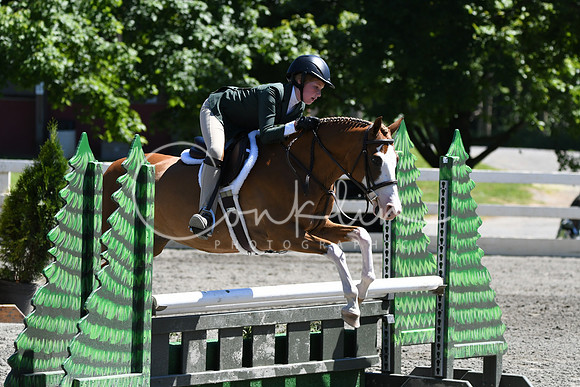 HSM_1419