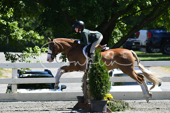 HSM_1421