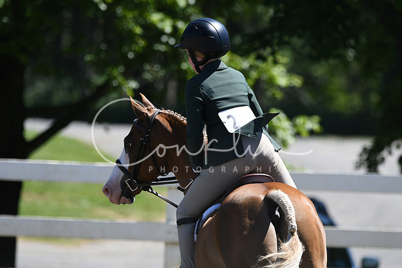 HSM_1466