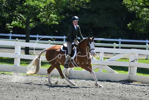 HSM_1527