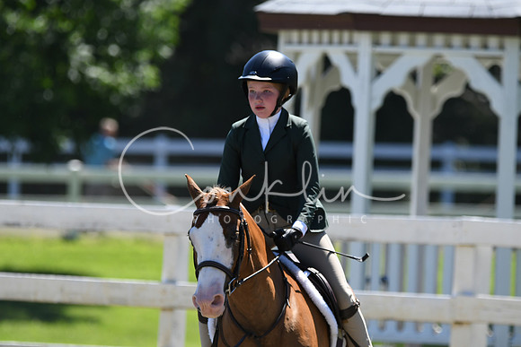 HSM_1529