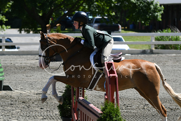 HSM_1531