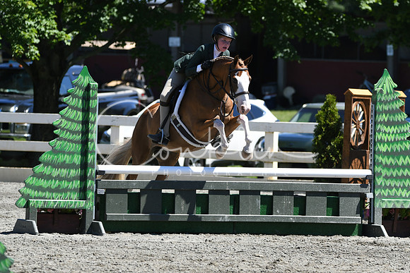 HSM_1532